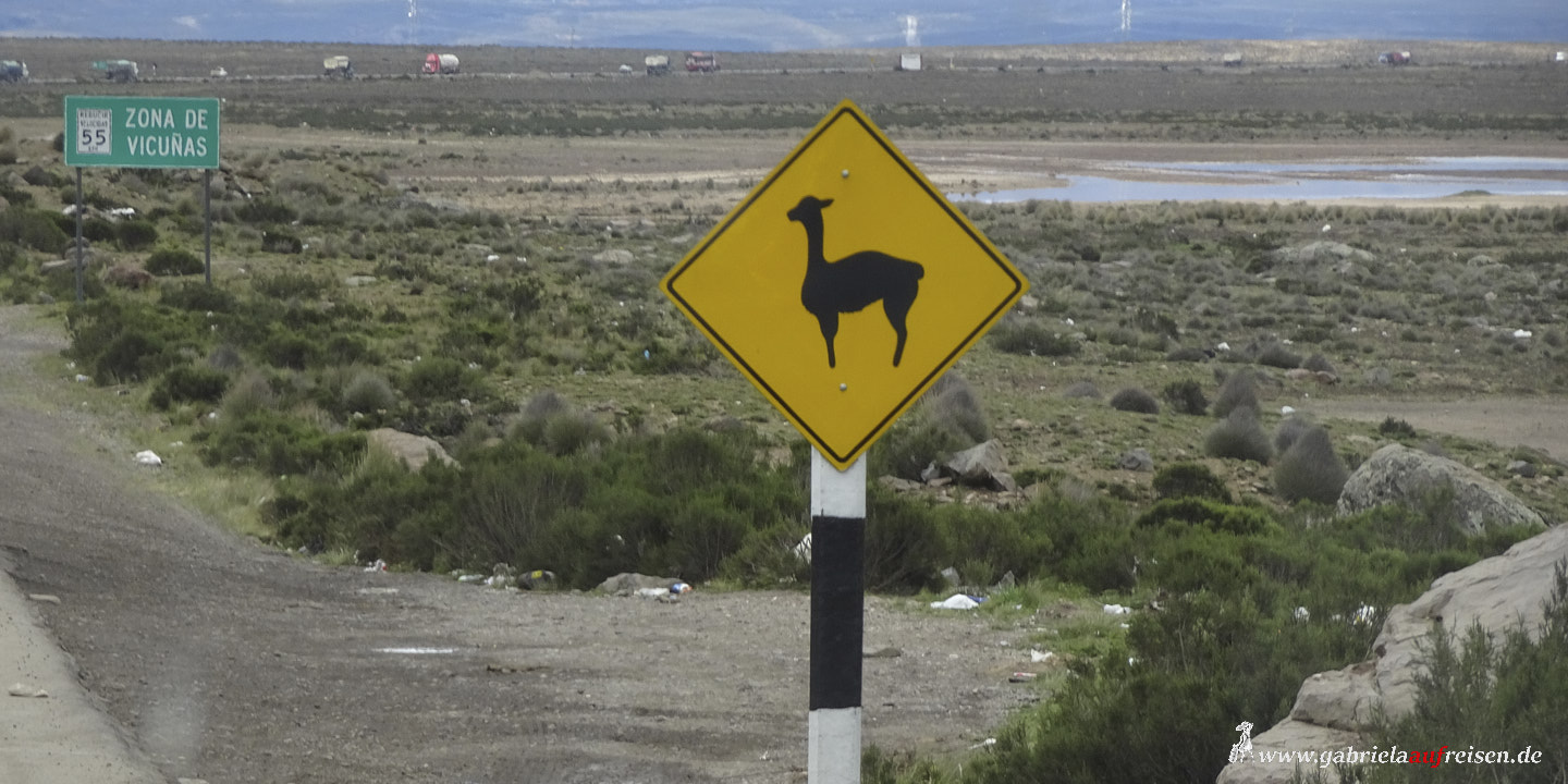 Andes, Peru, road sign, lamas
