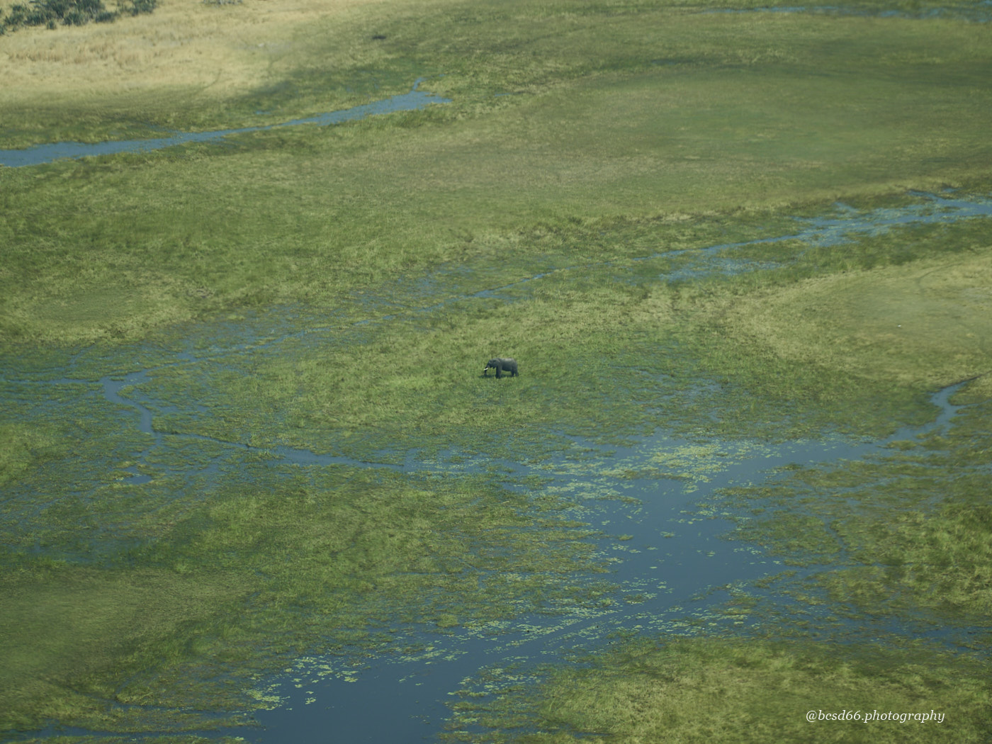 flight-over-Okavango-Delta