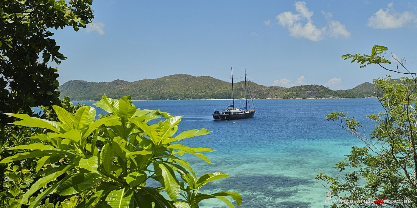 sailing-boat-MS-Sea-Bird