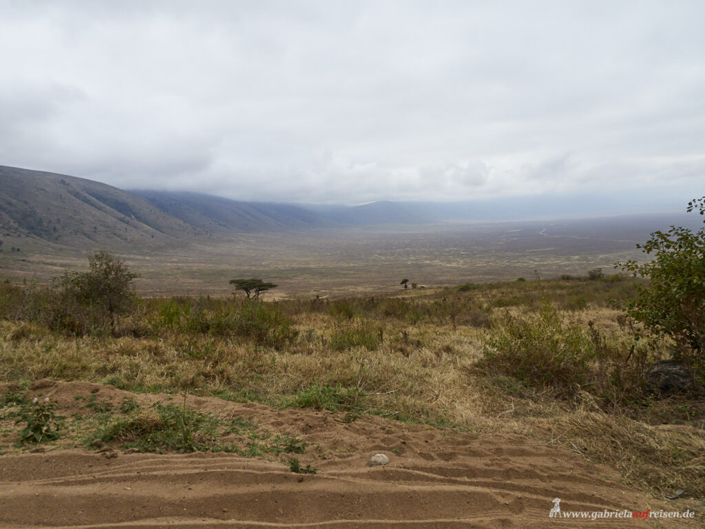 Ngorongoro-crater-inside