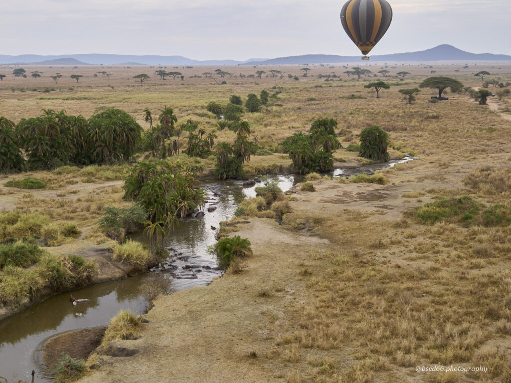 balloon-over-Serengeti