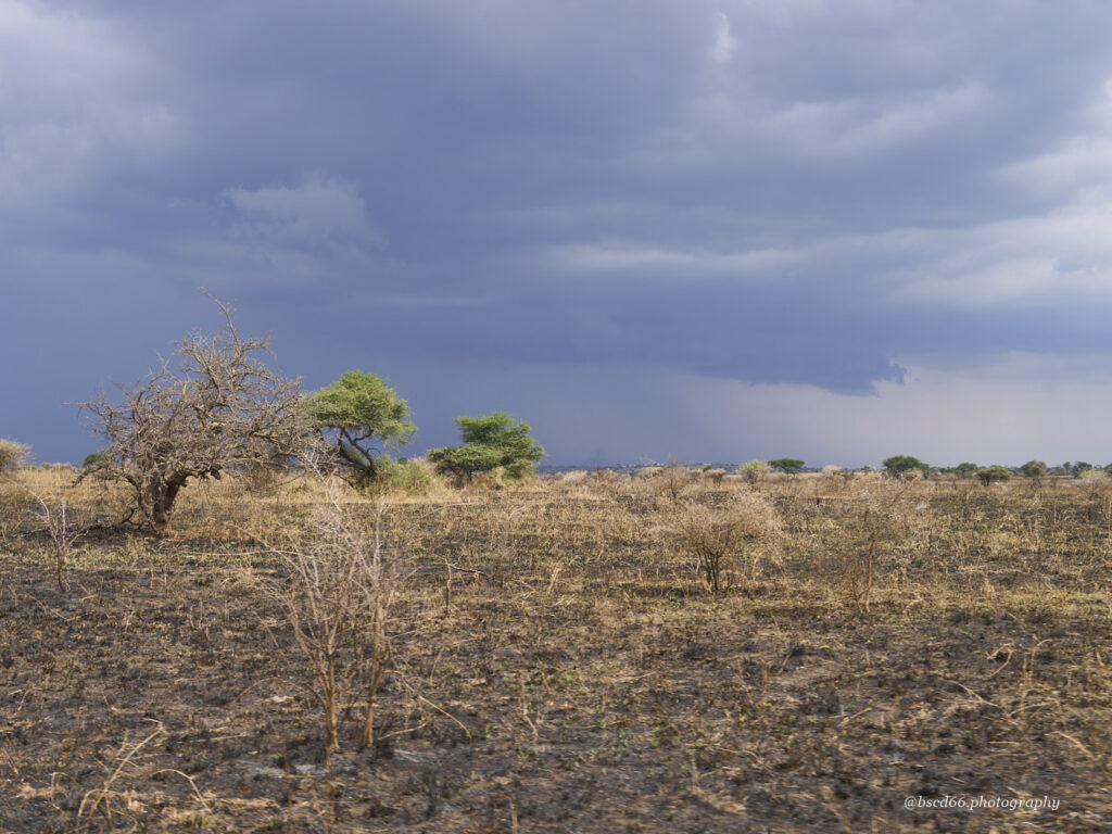 dark-clouds-over-Serengeti