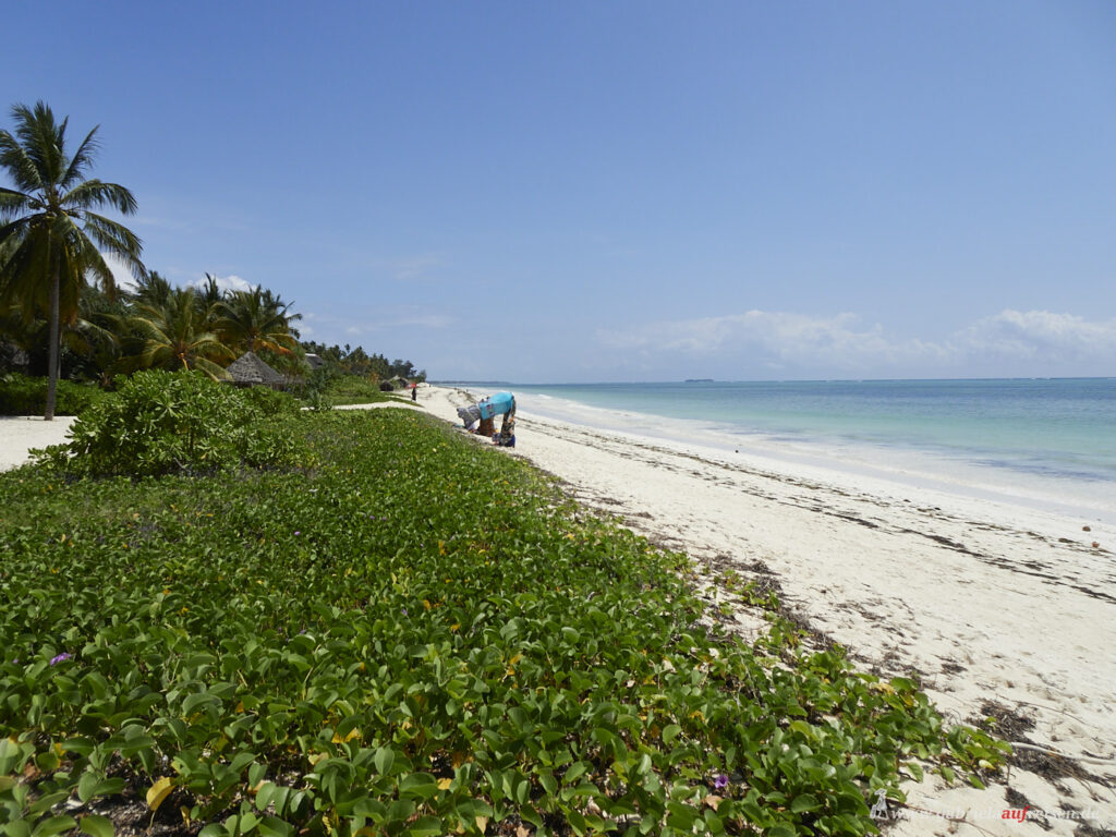 beach-at-Aqua-Beach-Hotel-Zanzibar