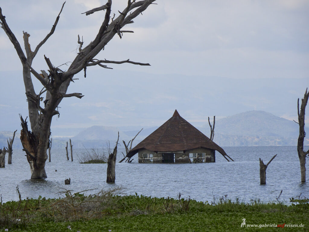 sunken-house-Lake-Naivasha-Kenya