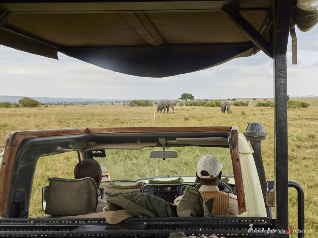 watching-Masai-Mara-Wildlife