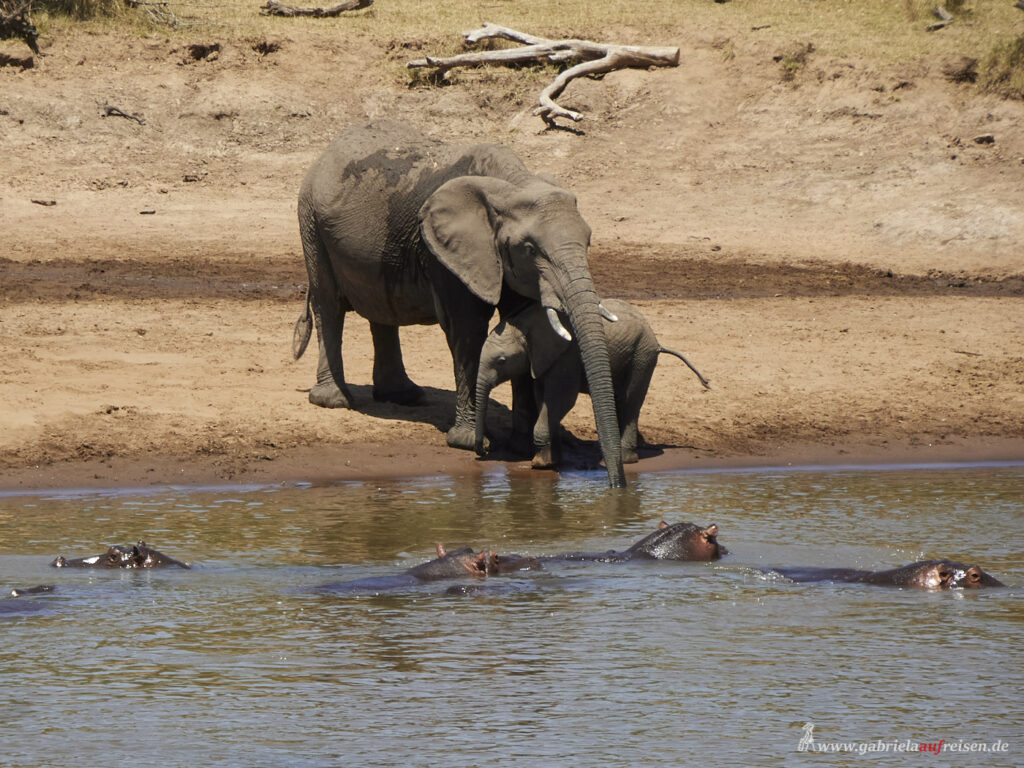 at-shore-at-Karen-Blixen-Camp